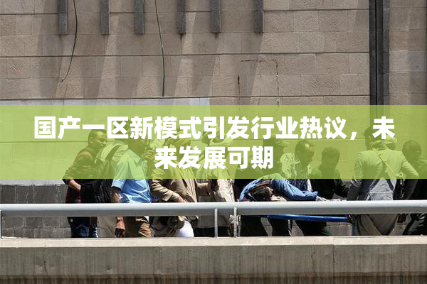 国产一区新模式引发行业热议，未来发展可期