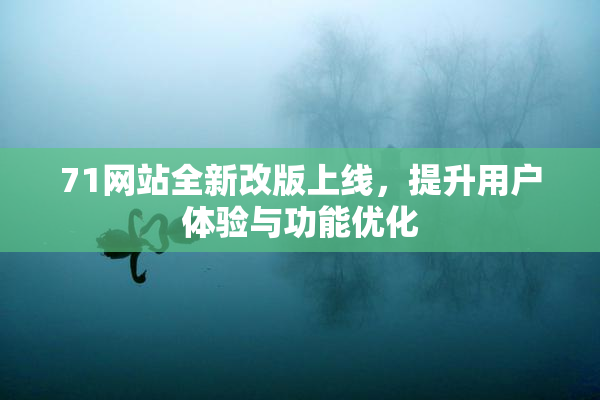 71网站全新改版上线，提升用户体验与功能优化