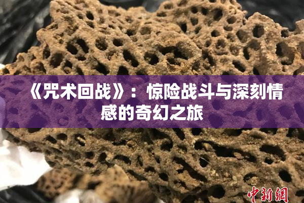 《咒术回战》：惊险战斗与深刻情感的奇幻之旅