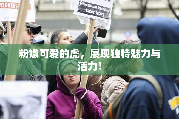 粉嫩可爱的虎，展现独特魅力与活力！
