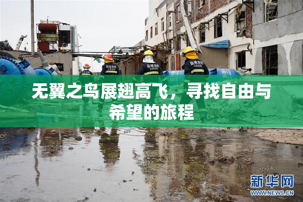 无翼之鸟展翅高飞，寻找自由与希望的旅程