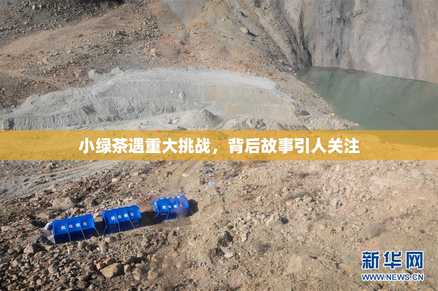 小绿茶遇重大挑战，背后故事引人关注