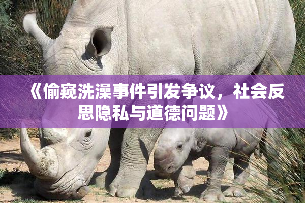 《偷窥洗澡事件引发争议，社会反思隐私与道德问题》