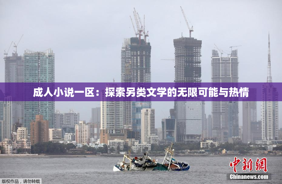 成人小说一区：探索另类文学的无限可能与热情
