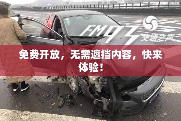 免费开放，无需遮挡内容，快来体验！