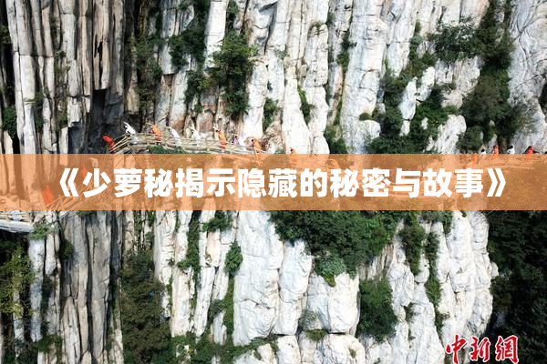 《少萝秘揭示隐藏的秘密与故事》