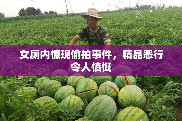女厕内惊现偷拍事件，精品恶行令人愤慨