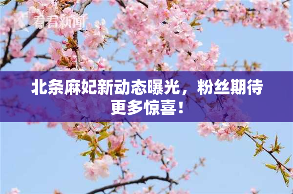 北条麻妃新动态曝光，粉丝期待更多惊喜！