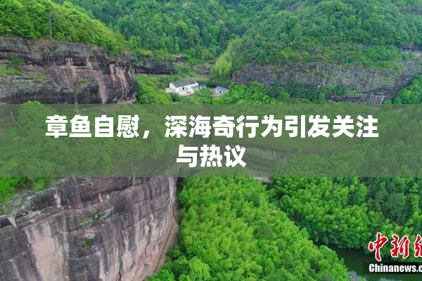 章鱼自慰，深海奇行为引发关注与热议