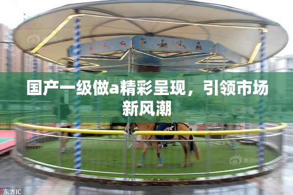 国产一级做a精彩呈现，引领市场新风潮