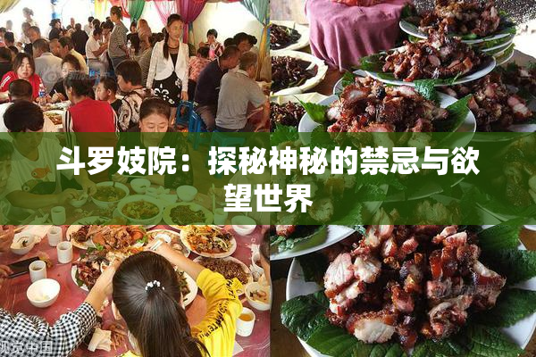 斗罗妓院：探秘神秘的禁忌与欲望世界