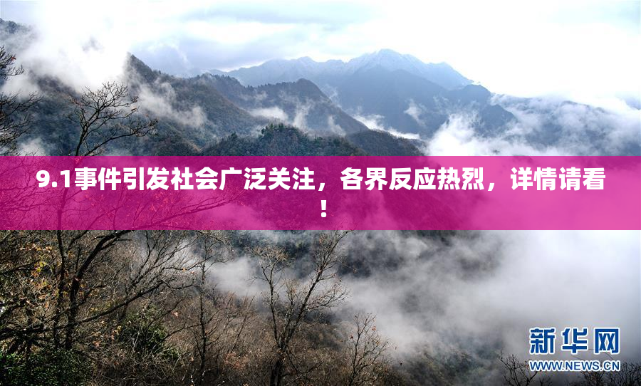 9.1事件引发社会广泛关注，各界反应热烈，详情请看！