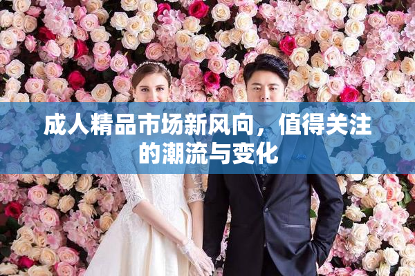 成人精品市场新风向，值得关注的潮流与变化