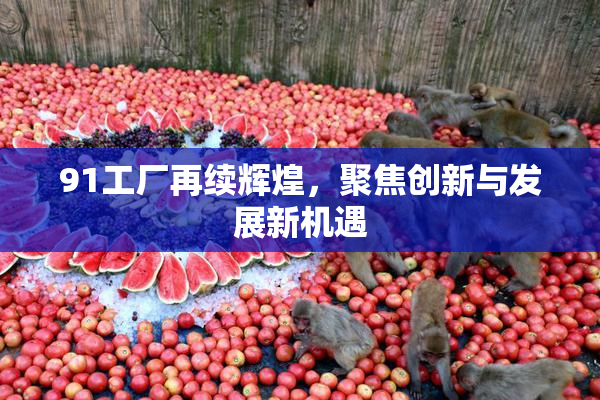 91工厂再续辉煌，聚焦创新与发展新机遇