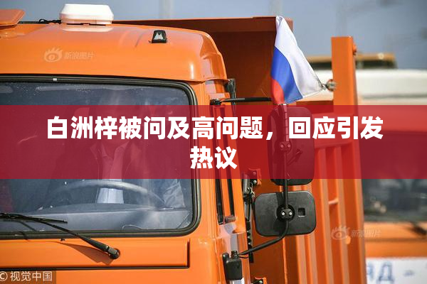 白洲梓被问及高问题，回应引发热议
