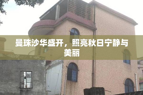 曼珠沙华盛开，照亮秋日宁静与美丽