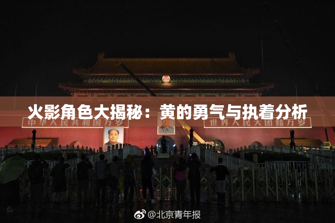 火影角色大揭秘：黄的勇气与执着分析