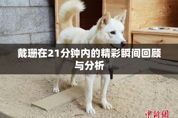 戴珊在21分钟内的精彩瞬间回顾与分析