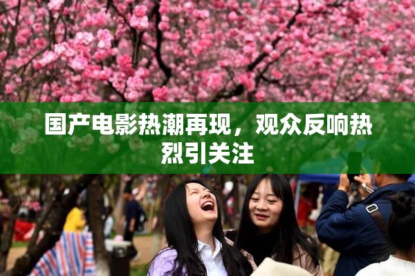 国产电影热潮再现，观众反响热烈引关注