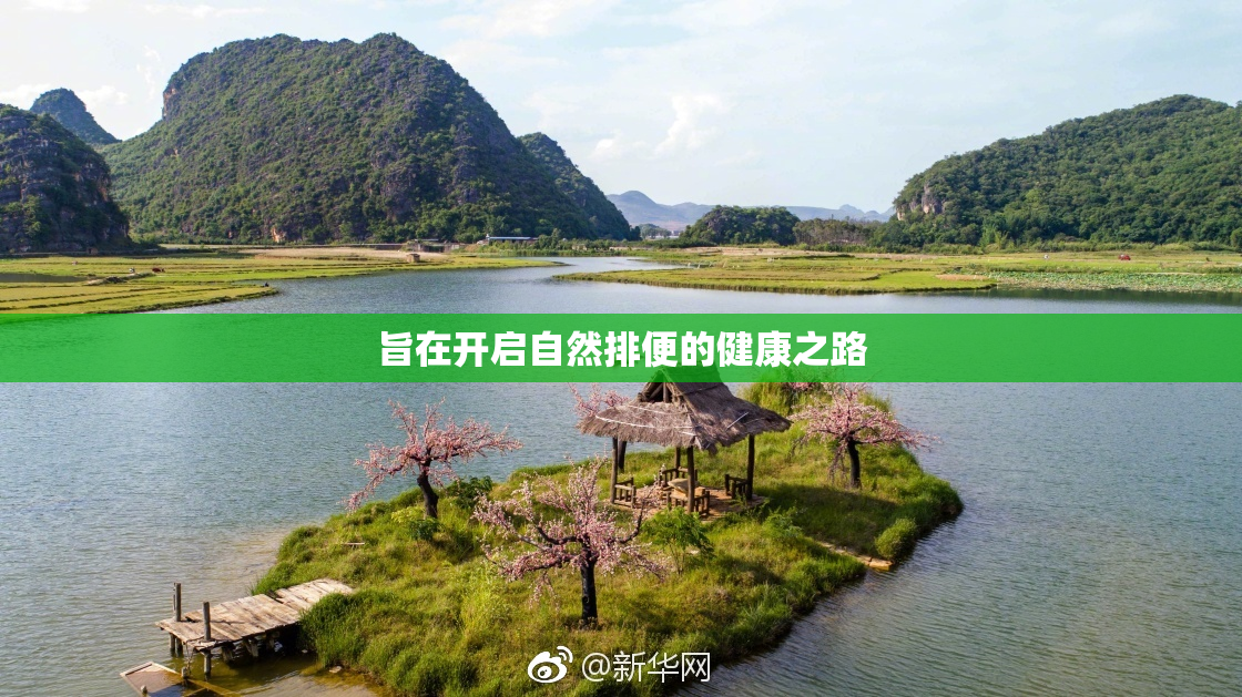 旨在开启自然排便的健康之路