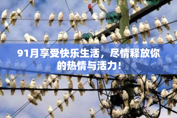 91月享受快乐生活，尽情释放你的热情与活力！