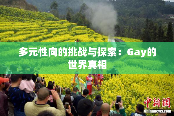 多元性向的挑战与探索：Gay的世界真相