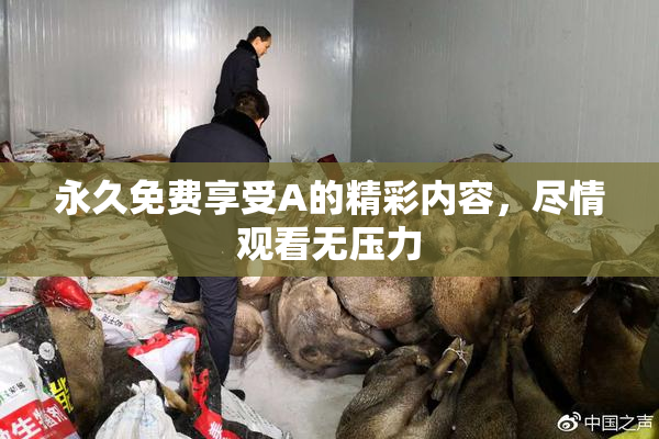 永久免费享受A的精彩内容，尽情观看无压力