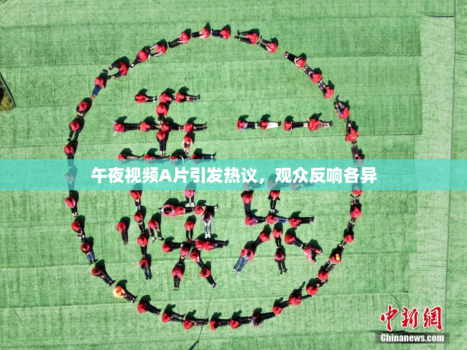 午夜视频A片引发热议，观众反响各异