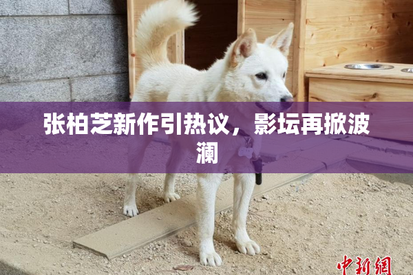 张柏芝新作引热议，影坛再掀波澜