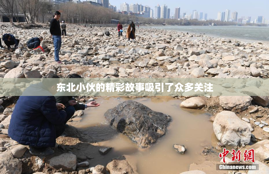 东北小伙的精彩故事吸引了众多关注