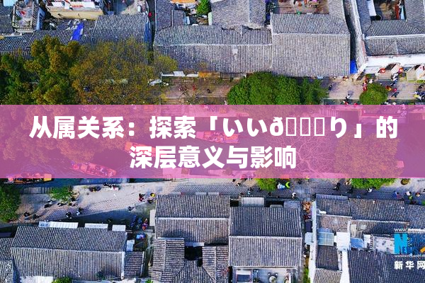 从属关系：探索「いい🍑り」的深层意义与影响