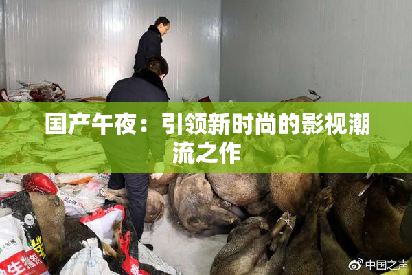 国产午夜：引领新时尚的影视潮流之作