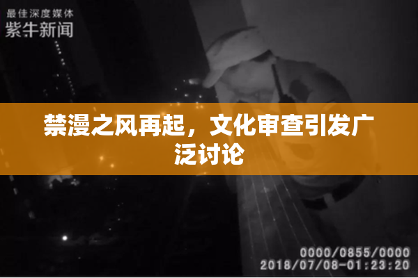 禁漫之风再起，文化审查引发广泛讨论