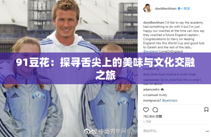 91豆花：探寻舌尖上的美味与文化交融之旅