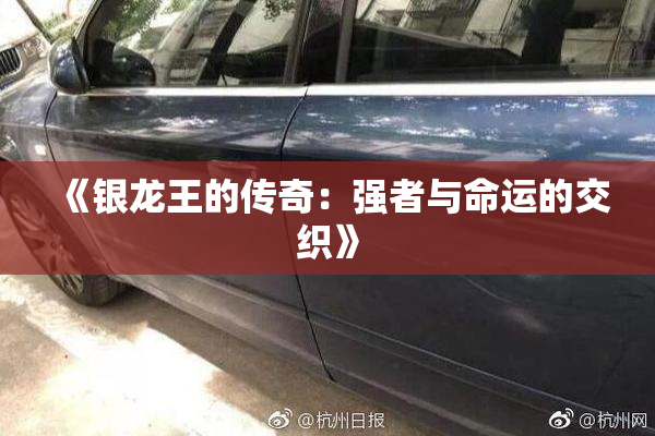 《银龙王的传奇：强者与命运的交织》