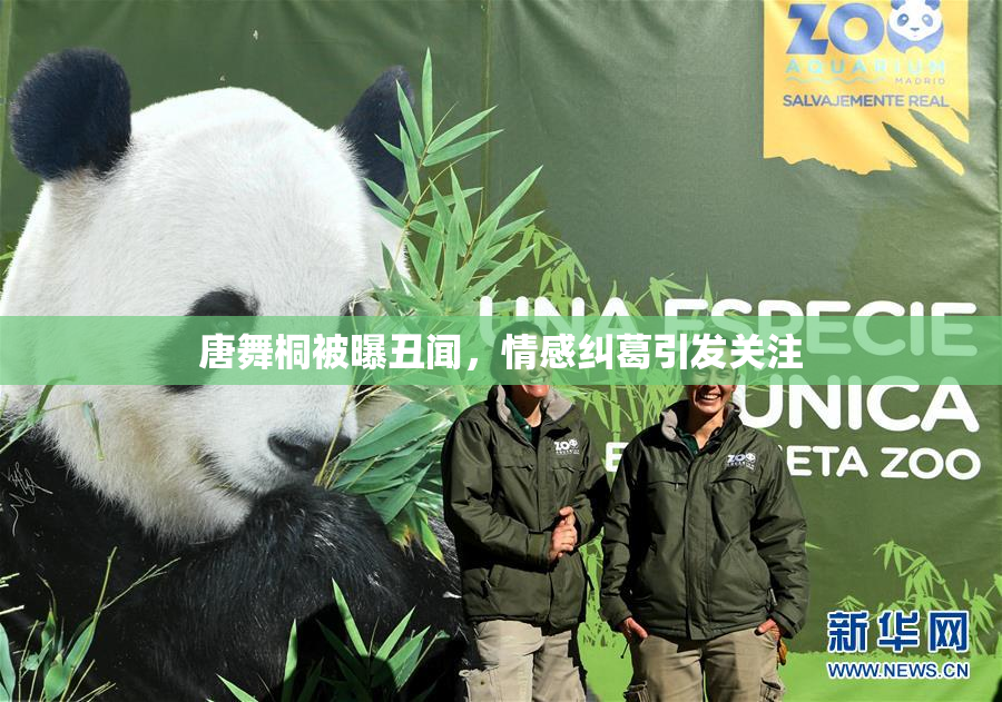 唐舞桐被曝丑闻，情感纠葛引发关注