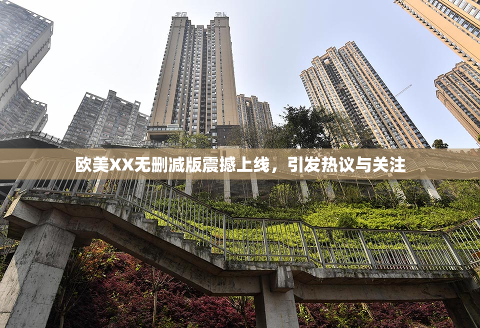 欧美XX无删减版震撼上线，引发热议与关注