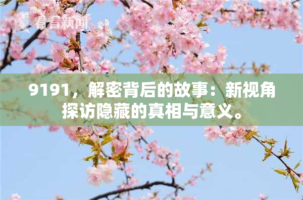 9191，解密背后的故事：新视角探访隐藏的真相与意义。