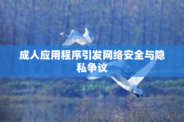 成人应用程序引发网络安全与隐私争议