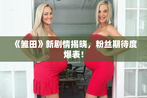 《雏田》新剧情揭晓，粉丝期待度爆表！