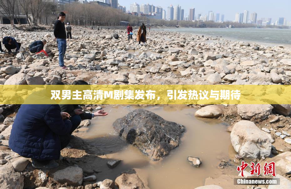 双男主高清M剧集发布，引发热议与期待