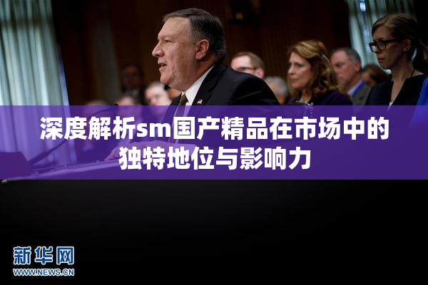深度解析sm国产精品在市场中的独特地位与影响力