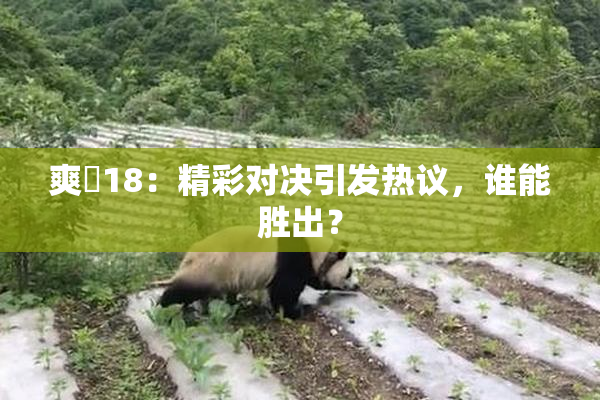 爽擼18：精彩对决引发热议，谁能胜出？