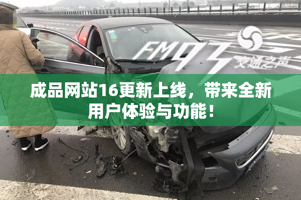 成品网站16更新上线，带来全新用户体验与功能！