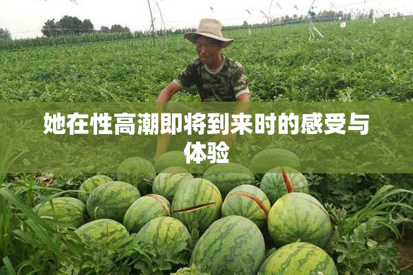 她在性高潮即将到来时的感受与体验