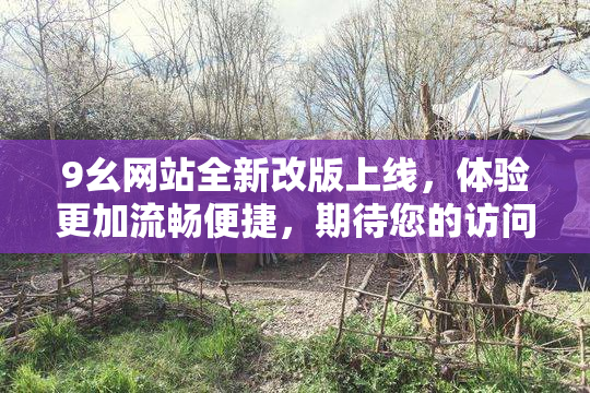 9幺网站全新改版上线，体验更加流畅便捷，期待您的访问！