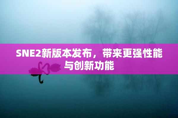 SNE2新版本发布，带来更强性能与创新功能