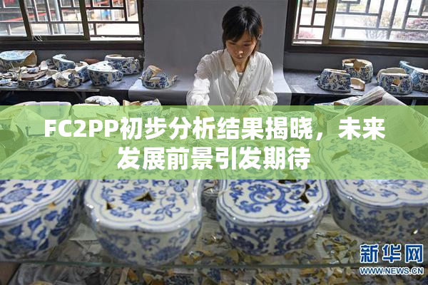 FC2PP初步分析结果揭晓，未来发展前景引发期待