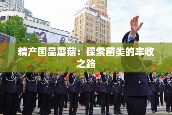 精产国品蘑菇：探索菌类的丰收之路