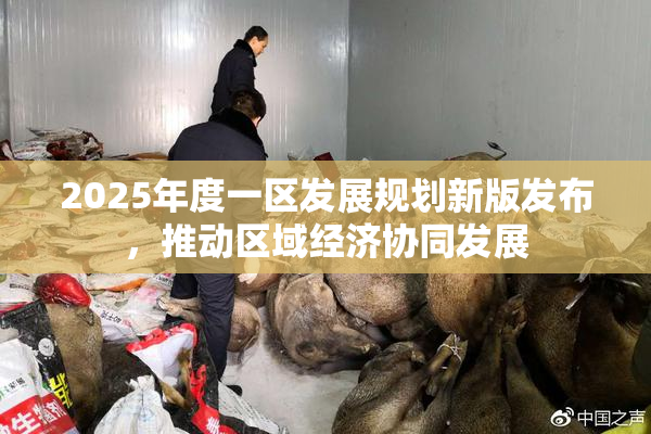 2025年度一区发展规划新版发布，推动区域经济协同发展